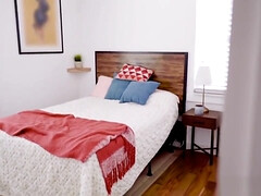 Bruinharig, Rondborstig, Schattig, Diep in de keel, Hondjeshouding, Ondergoed, Gezichtspunt, Tieten likken