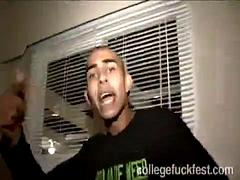 Leie, Grosser schwanz, Blondine, Gruppe, Interrassisch, Party, Öffentlich, Ablutschen