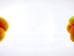 Nana, Belle grosse femme bgf, Gros cul, Gros seins, Fétiche, Seins naturels, Pisser, Nénés