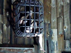 Cul, Gros seins, Sucer une bite, Brunette brune, Plantureuse, Mamelons, Chatte, Jouets