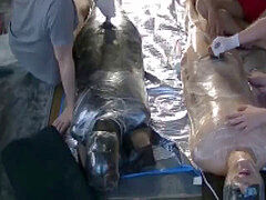 Bondage discipline sadomasochisme, Homo