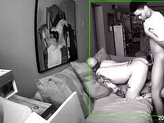 Grosser schwanz, Schwarz