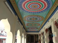 Amateur, Morena, Peludo, Pezones inflados, Coño, Falda, Tetas, Vibrador