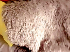 "PLEEEEEEEASE DON'T STOP CUM INSIDE"