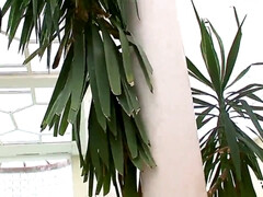 Большой член, Большие сиськи, Стервы, Брюнетки, Грудастые, Натуральные сиськи, Сиськи