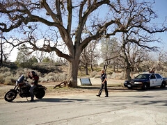 Amerikaans, Grote kont, Grote mammen, Hondjeshouding, Moeder die ik wil neuken, Kut duiken, Tatoeage, Uniformpje