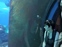 Coche, Corrida, Penetracion con dedos