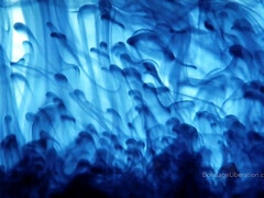 Bondage discipline sadomasochisme, Grote mammen, Gebondenheid, Fetisj, Orgasme, Kut duiken, Tieten likken, Speelgoed