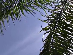 Leie, Im freien, Party