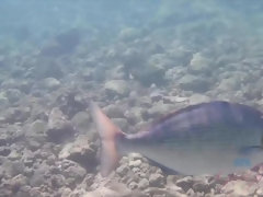 Любители, Платье, Эксгибиционист, Подружка, Оргазм, На природе, От первого лица, Сиськи