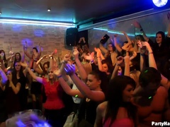 Arsch, Grosser schwanz, Schwarz, Braunhaarige, Interrassisch, Lecken, Orgie, Swingers