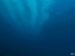 Анальный секс, Блондинки, Семяизвержение, Двойное проникновение, Сперма на лице, На природе, Втроем