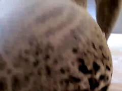 Любители, Большой член, Брюнетки, Пухленькие, Доктор, Немки, Милф, Крошечные