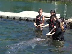 Leie, Arsch, Füsse, Fussjob, Freundin, Handjob, Pov, Titten