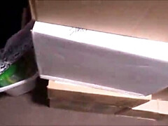 Блондинки, Брат, Кузина, Семья, Группа, От первого лица, Сестра, Втроем