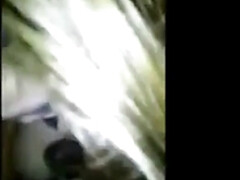 Leie, Asiatisch, Schwarz, Blasen, Braunhaarige, Schwanz, Hd, Ablutschen