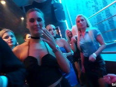 Blondine, Braunhaarige, Tanzen, Orgie, Party, Pornostars, Schüchtern, Nass