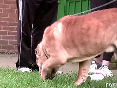 Grosser schwanz, Blasen, Fingern, Handjob, Lecken, Milf, Muschi, Tätowierung