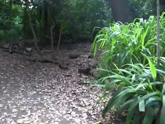 Bruinharig, Vriendin, Orgasme, Buiten, Gezichtspunt, Openbaar, Geschoren, Spuiten