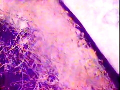 Tiffany Mynx Vintage Porn Video