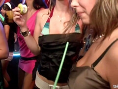 Culo grande, Verga grande, Mamada, Tetona, Tetas naturales, Fiesta, Público, Tetas