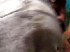 Amateur, Plantureuse, Mignonne, Groupe, Hd, Mamelons, Chatte, Adolescente