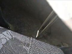Pantyhose upskirt under table in train