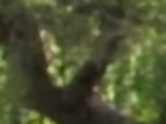 Leie, Blasen, Hundestellung, Masturbation, Im freien, Pov, Hintern versohlen, Weibliche ejakulation