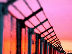 Veronica Kirei & Serene Siren: Peaceful & Provocative - Big Tits Lesbian MILFs