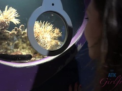 茶髪の, 汚れた　, パンティ, ピアス, オマンコ, 剃毛, フェラする, オッパイの