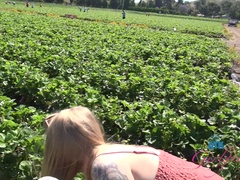 Leie, Grosser arsch, Blondine, Flashen, Freundin, Orgasmus, Öffentlich, Titten