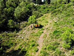 Atrapados, Pareja, Sexo duro, Al aire libre