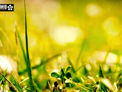 18 летние, Минет, Семяизвержение, Секс без цензуры, Индианки, Школьница, Молоденькие