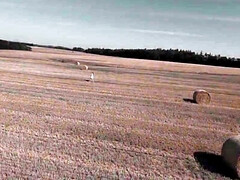 Blond, Pijpbeurt, Sperma shot, Hardcore, Naakt, Kut duiken, Slet, Nat