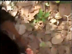 Bruinharig, Hd, Indisch