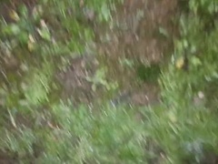 アナル, 中出し, フェティッシュ, Hd, 自然山雀, オーガズム, アウトドア, 公共