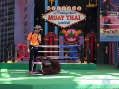 Amateur, Negro, Mamada, Ébano, Corridas faciales, Sexo duro, Hd, Pov