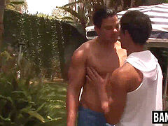 Анальный секс, Минет, Глубокая глотка, Геи, Ласковые ручки, На природе