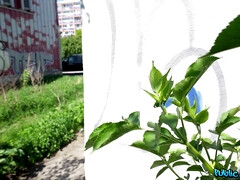 フェラチオ, 巨乳な, イマラチオ, 顔射, 開帳, ラティーナ, アウトドア, ハメ撮り