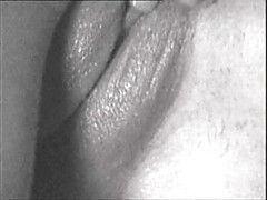 Multi Media Verlag featuring hustler's big tits smut