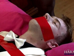 Анальный секс, Жопа, Большая жопа, Большие сиськи, Женское доминирование, Секс без цензуры, Белье, Милф