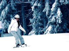 Sucer une bite, Brunette brune, Queue, En levrette, 2 femmes 1 homme, Seins naturels, De plein air, Plan cul à trois