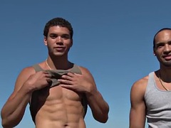 Amateur, Gay, Público