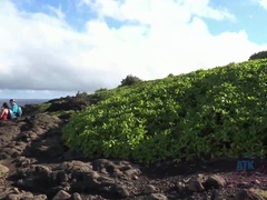 ビーチ, フェラチオ, 露出狂, 彼女, 小柄, ハメ撮り, 喫煙, オッパイの