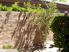 Жопа, Большой член, Большие сиськи, Член, Немки, От первого лица, Киски, Сиськи