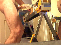 Grosser schwanz, Besamung, Europäisch