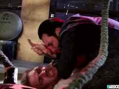 Anaal, Kont, Grote lul, Grote mammen, Pijpbeurt, Hardcore, Pornster, Tieten likken