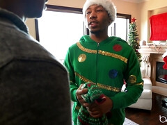 Lieveling, Slaapkamer, Zwart, Pijpbeurt, Interraciaal, Zoenen, Likken, Tieten likken