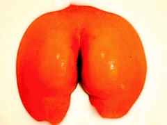 デカ尻, デカチン, デカパイ, フェラチオ, 茶髪の, バック, ハードコア, 淫乱熟女