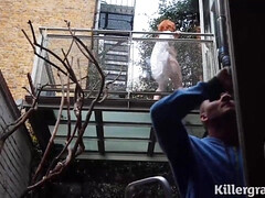 Анальный секс, Большая жопа, Большие сиськи, Минет, Брюнетки, Ласковые ручки, Натуральные сиськи, Сиськи